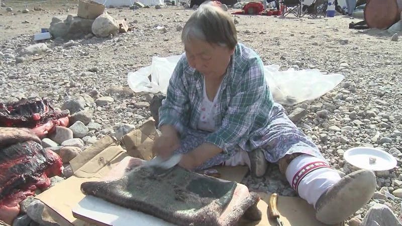 Qapirangajuq - Inuit Knowledge and Climate Change