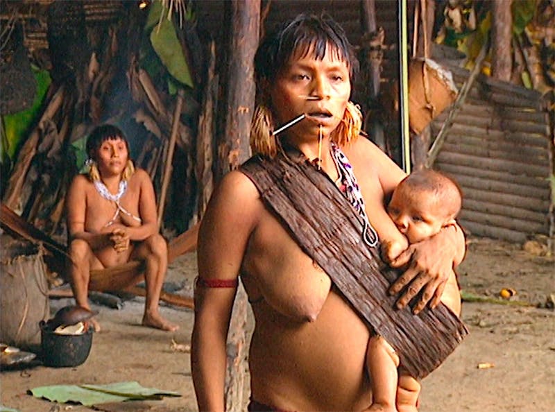 Yanomami da Região do Alalaú (inédito)