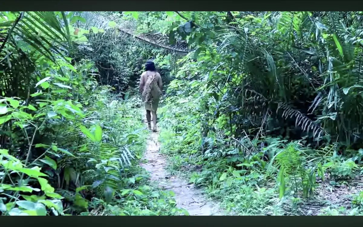 Ka'aripí Awá Rahy Mumuwena – A doença de antigamente quando vivíamos na mata