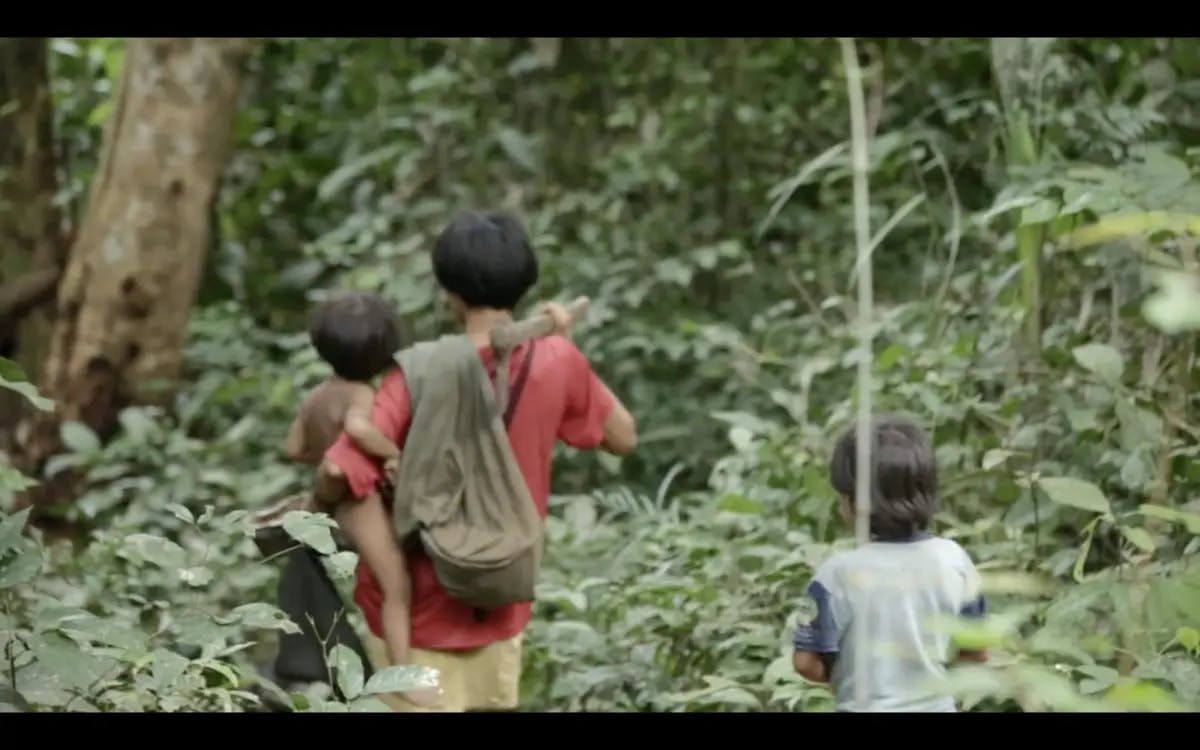 Nossa casa: Awá-Guajá