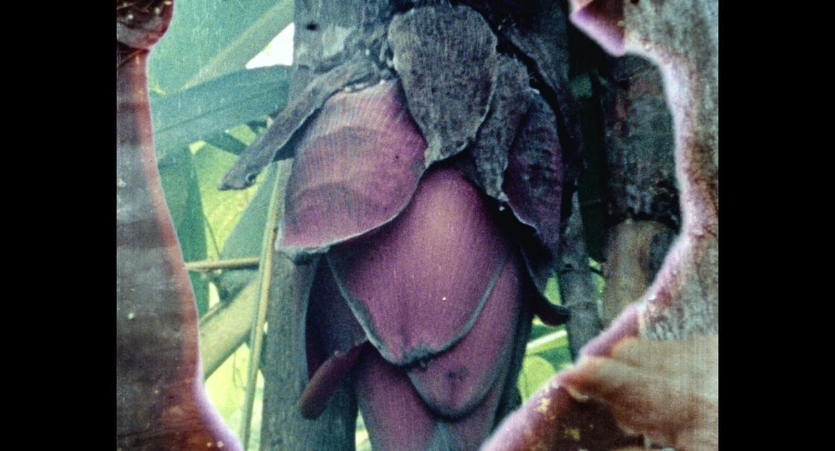 O mapa em que estão os meus pés