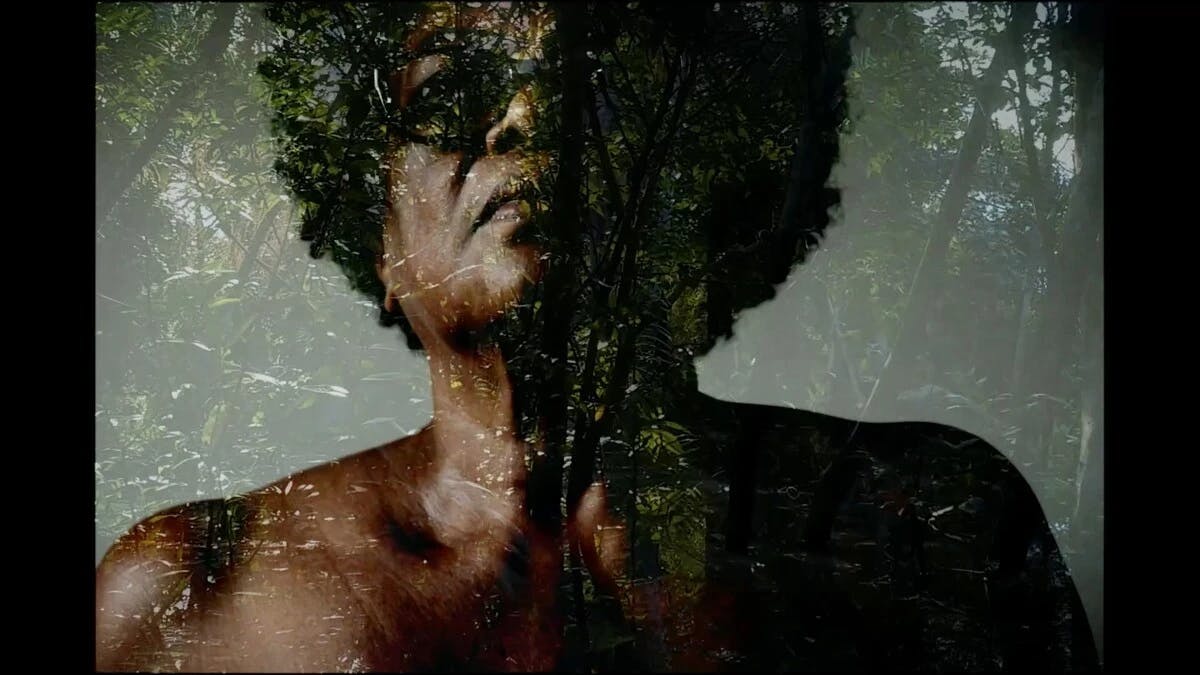 Vasta natureza de minha mãe