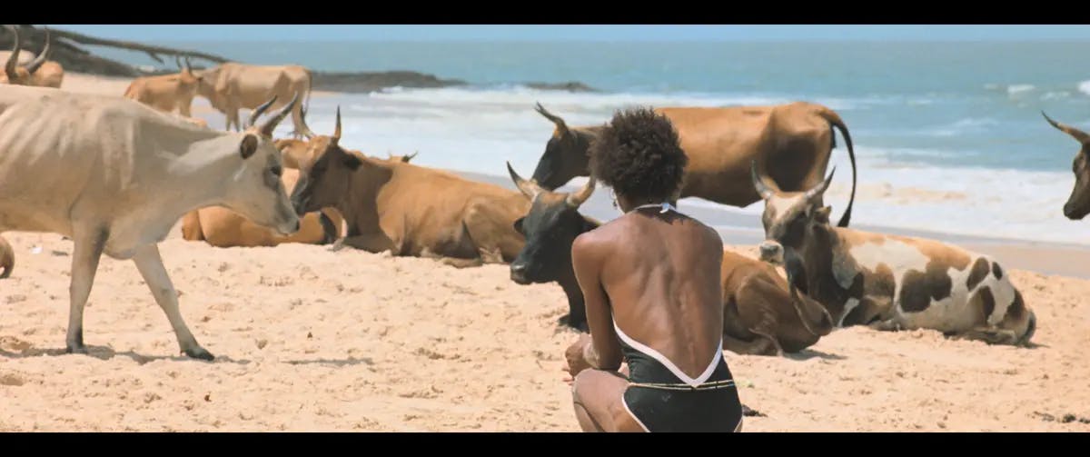 O Riso e a Faca [versão integral]