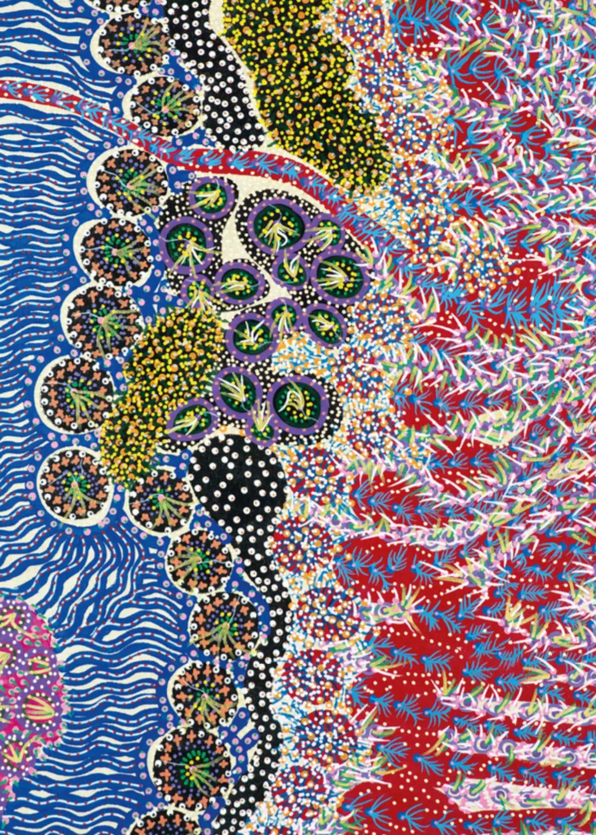 Capa do Catálogo - 29º Festival do Filme Documentário e Etnográfico