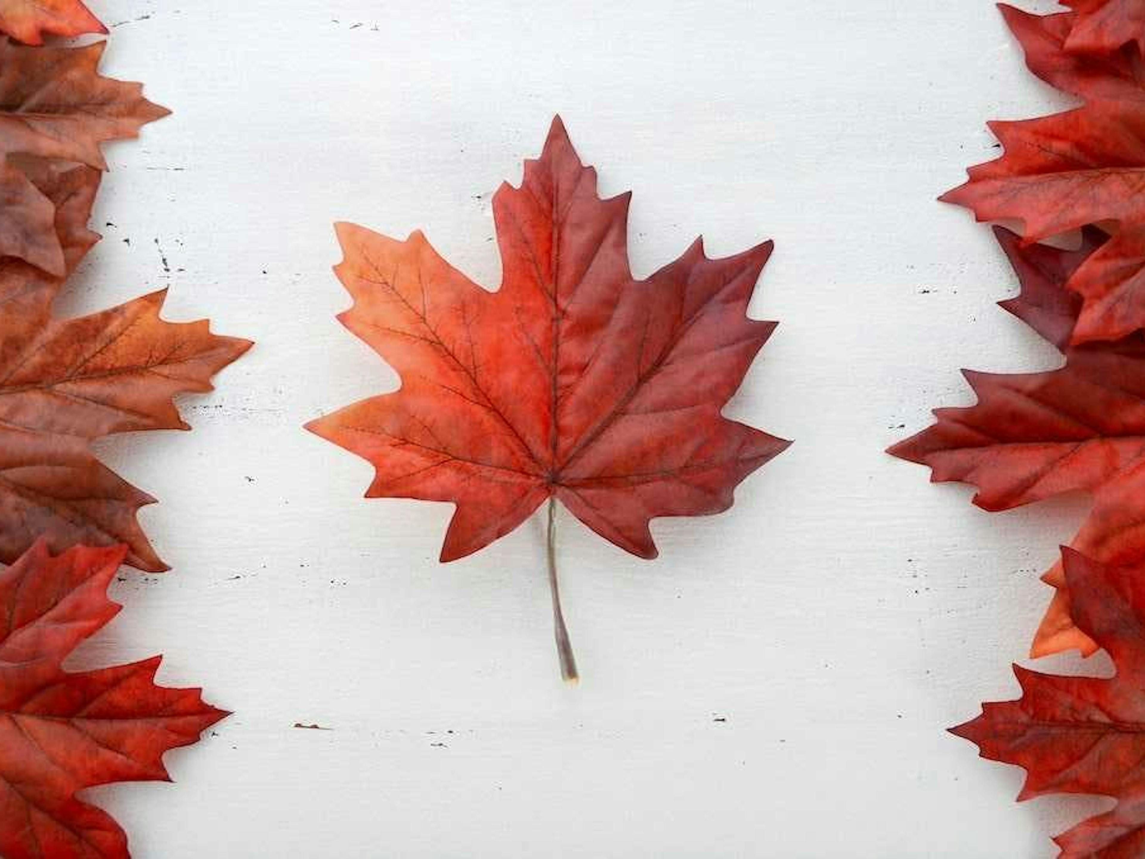 Shipping to Canada from US