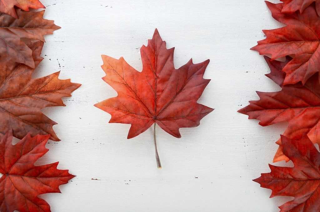 ship from US to Canada