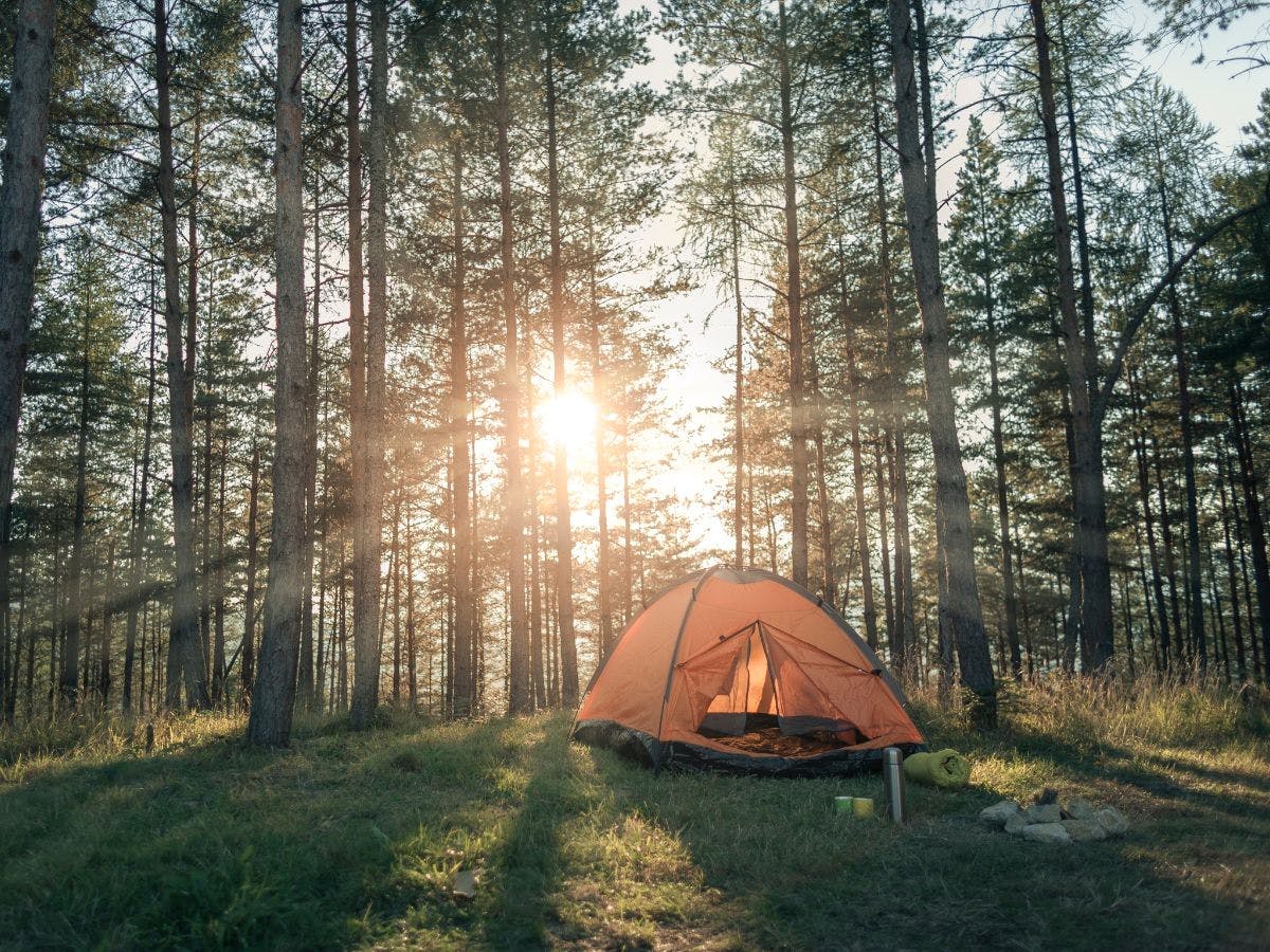 Get your gears for camping and outdoor activities with ease.