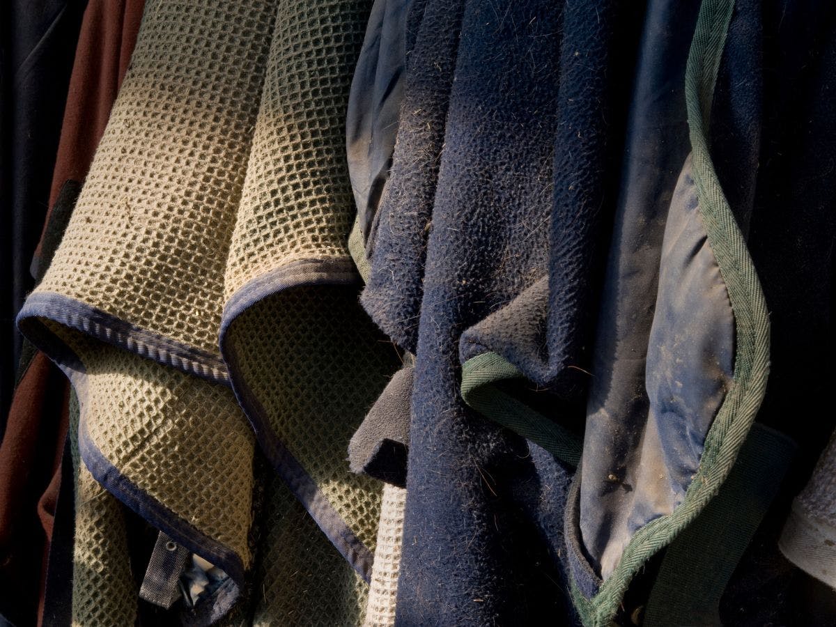 You can get more information on the blankets from down.