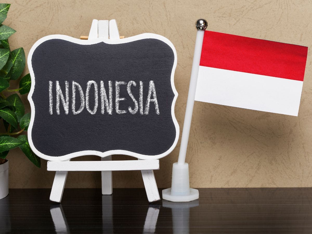 Shipping from the United States to Indonesia is now lot simpler! Without hesitation, shop and ship from the United States!