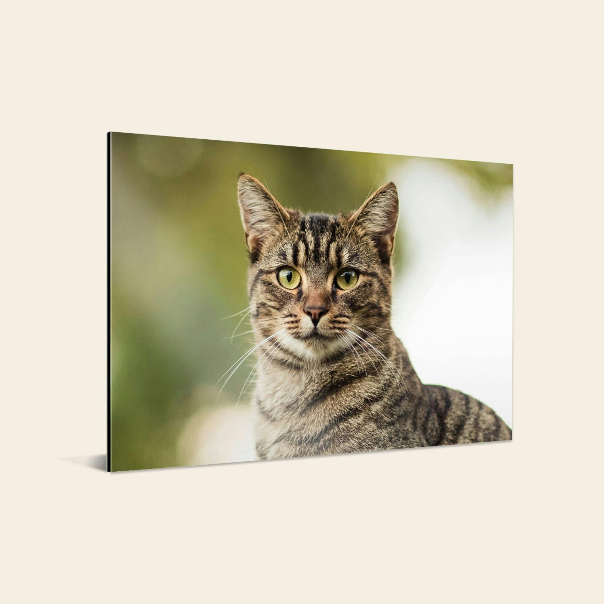 Foto op aluminium