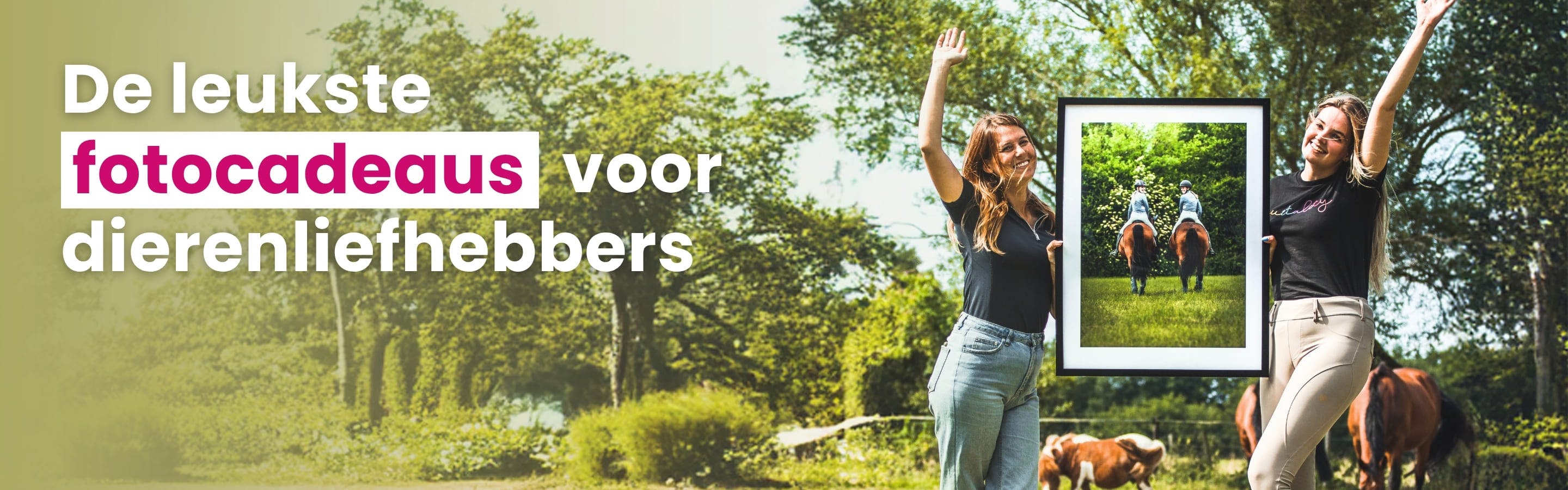 Alle fotolijsten hoofdcategorie banner desktop