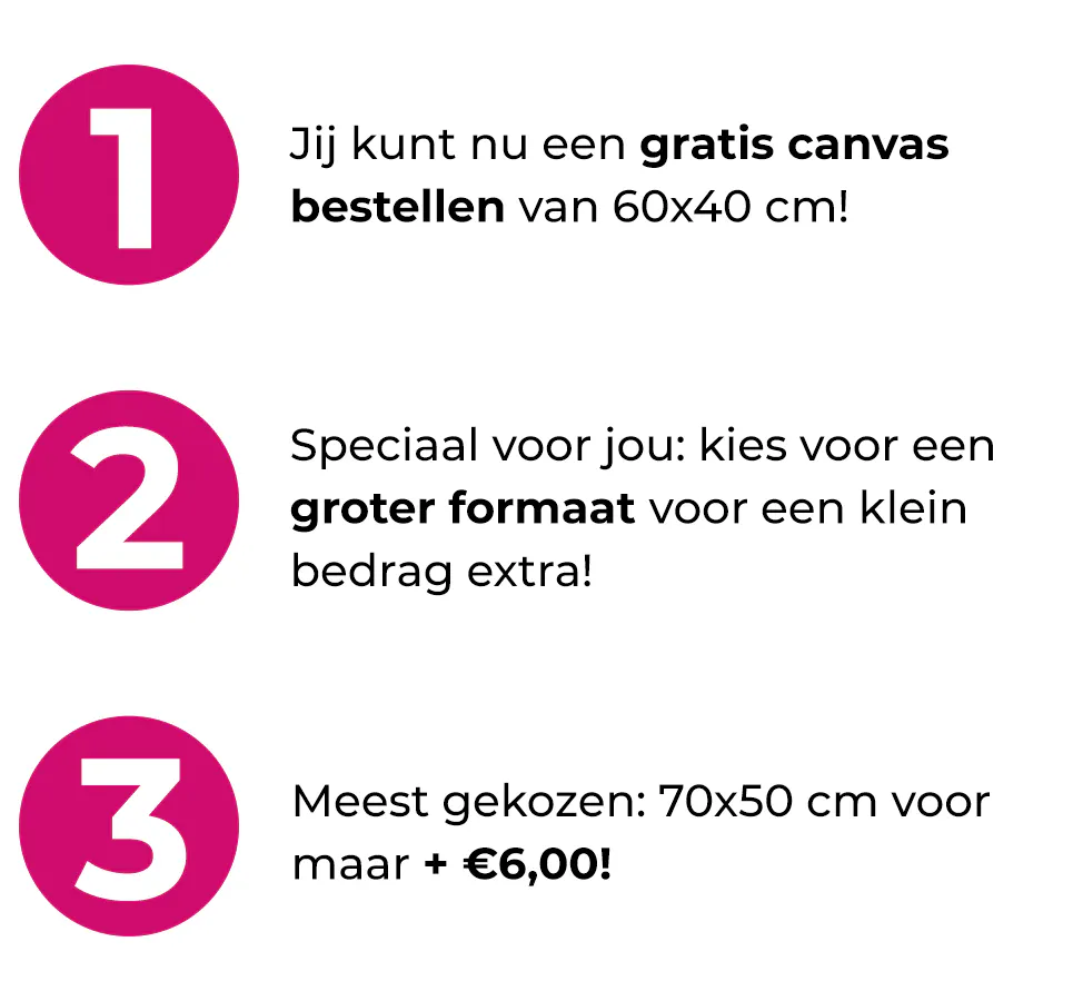 1. Jij kunt nu een gratis canvas bestellen van 60x40 cm! 2. Speciaal voor jou: kies voor een groter formaat voor een klein bedrag extra! 3. Meest gekozen: 70x50 cm voor maar + € 6,00!