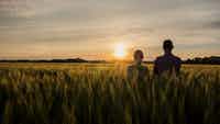 Couple looking at sunset from wheat field - Four Mile Tree Farm