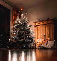 Fresh Christmas tree with decorations - Four Mile Tree Farm
