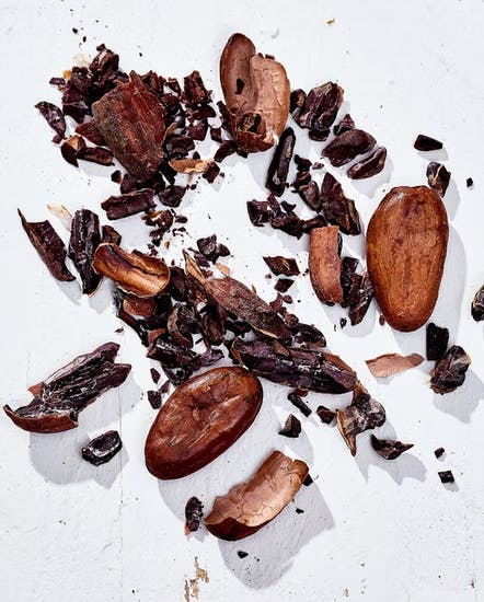 Multiserve Reishi Cacao