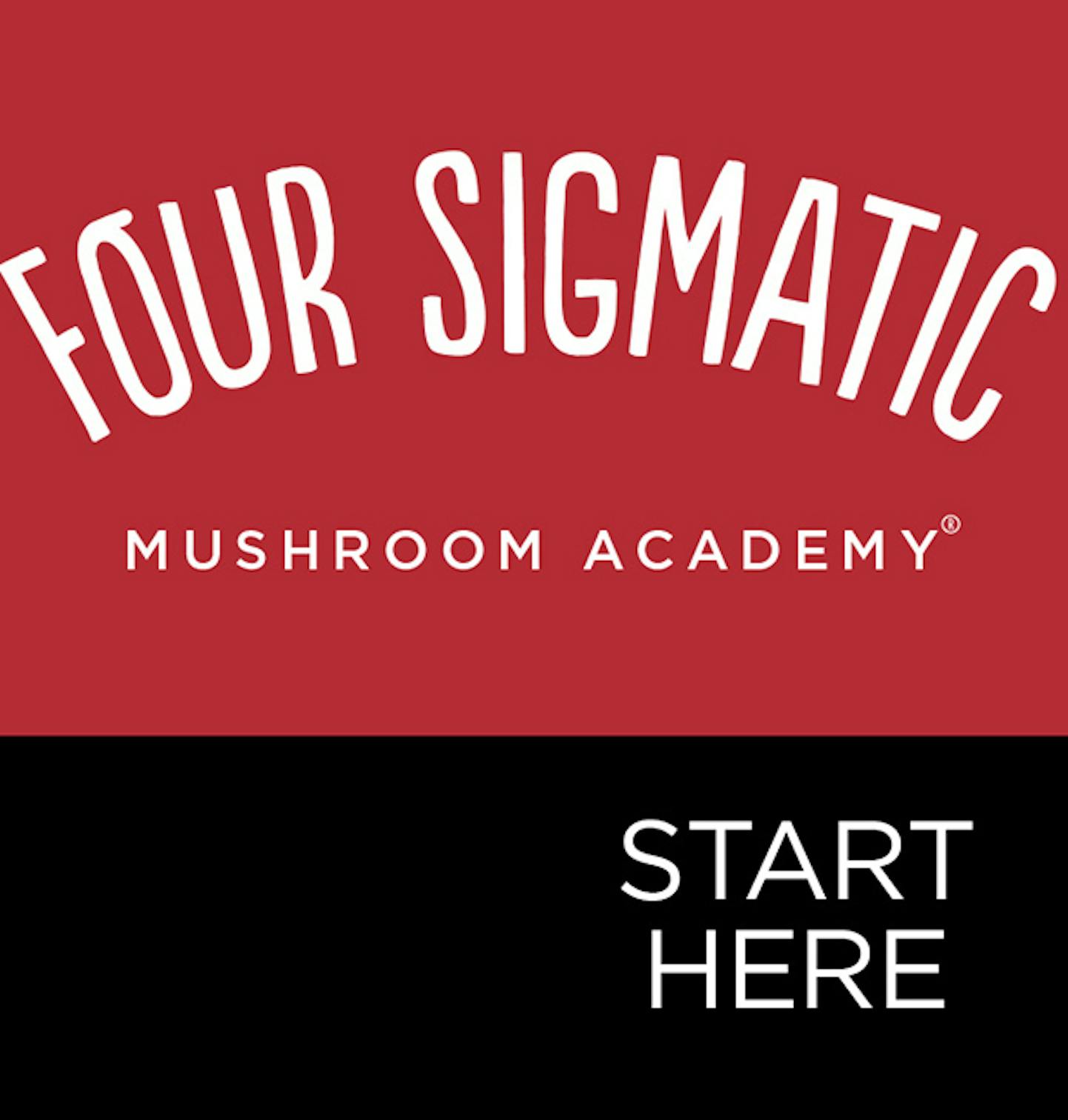 Mushroom Academy