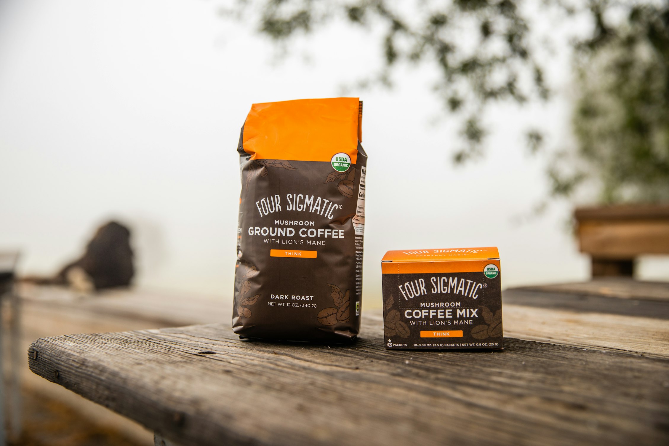 Lion's Mane benefits everything you need to know