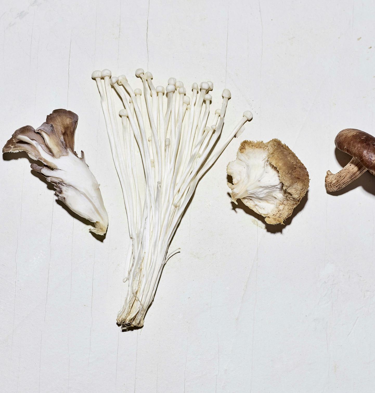 Mushroom blend