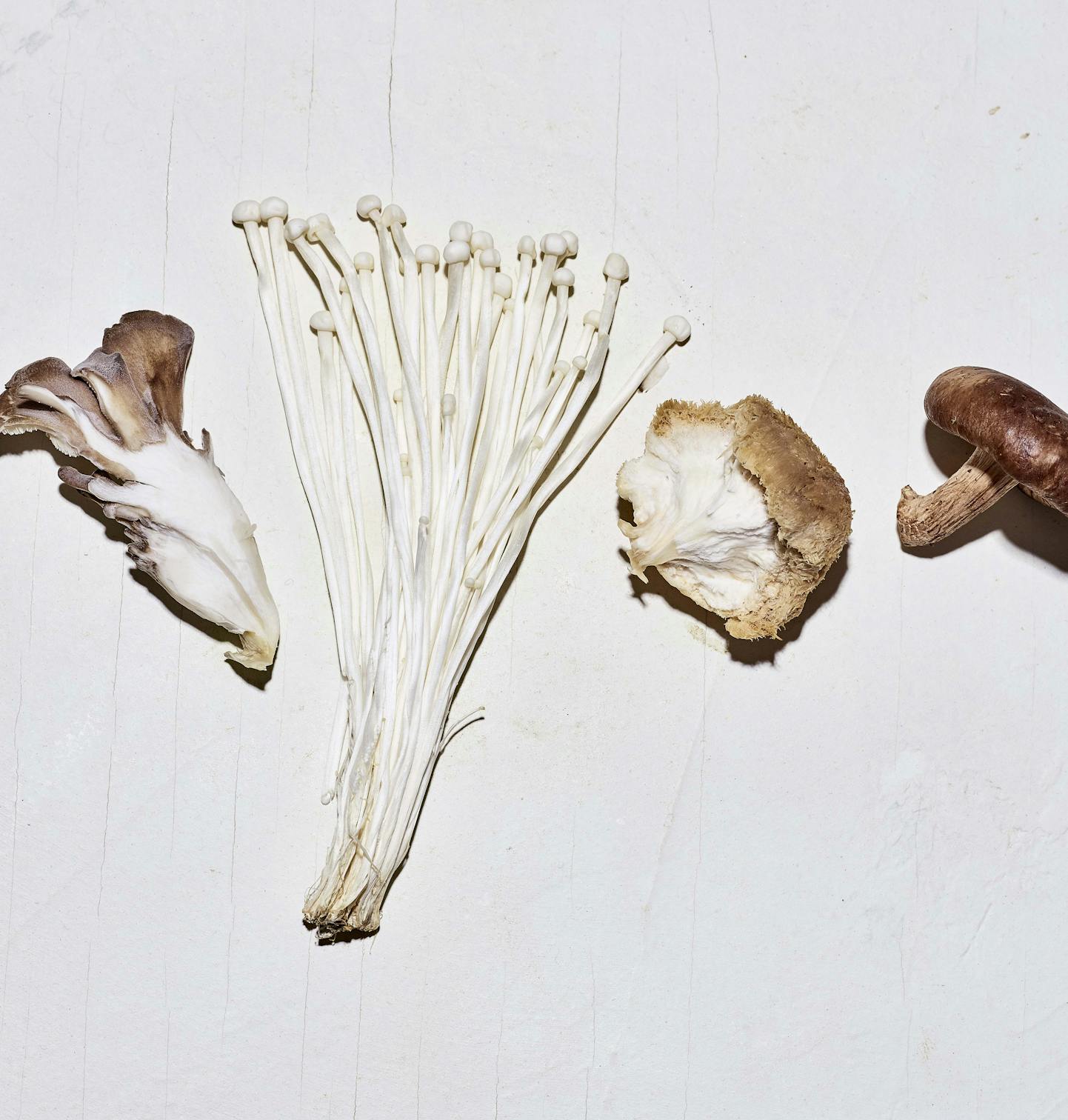 Mushrooms elixir
