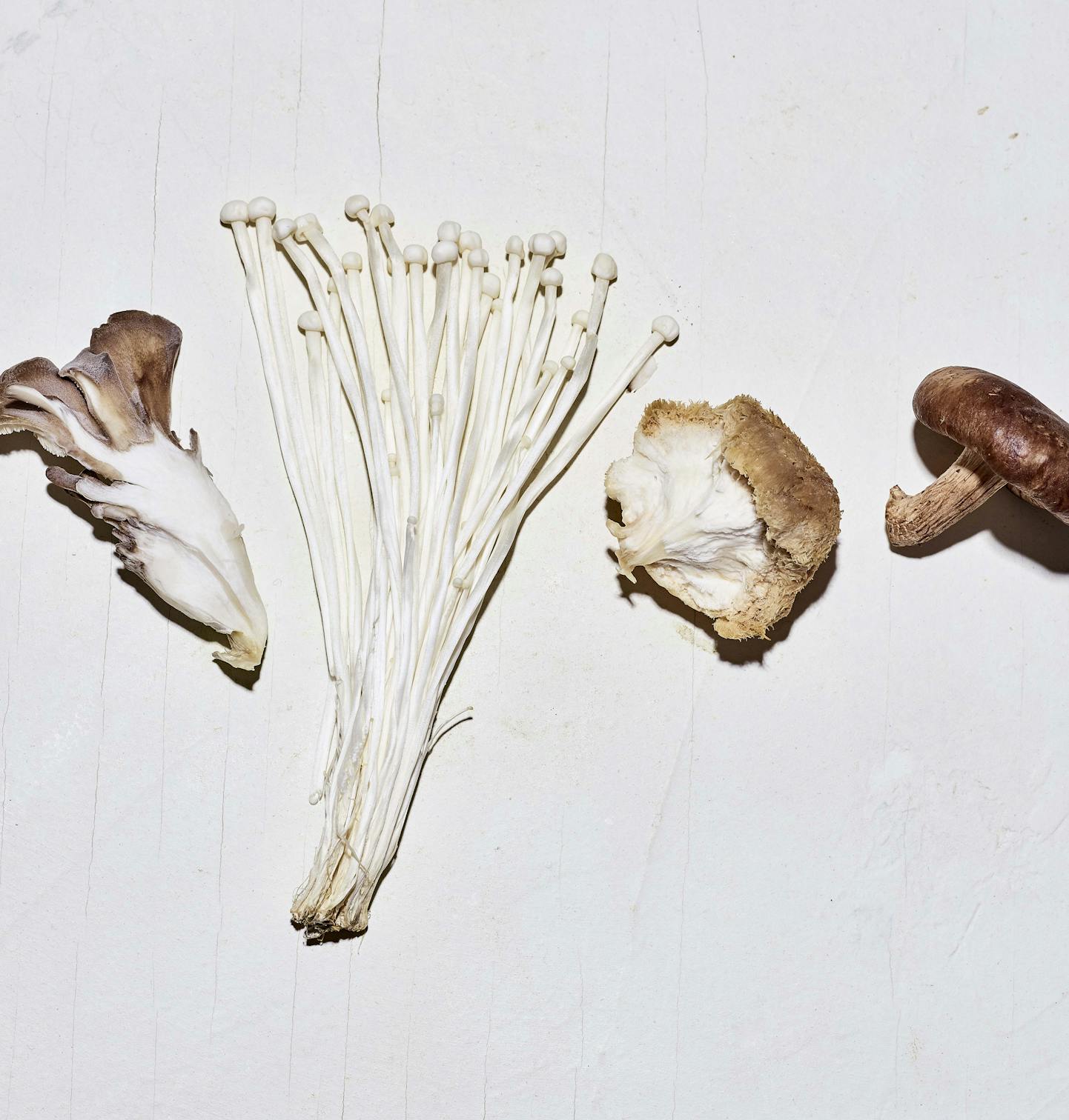 Mushroom blend