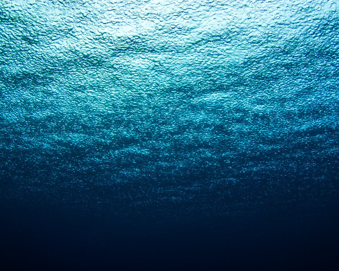 Underwater scene looking up towards the surface where you can see daylight