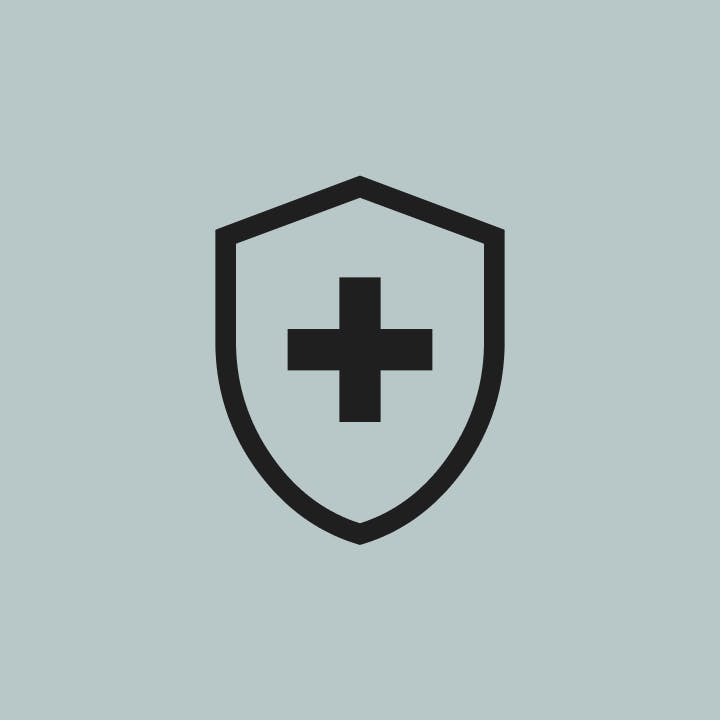 security icon