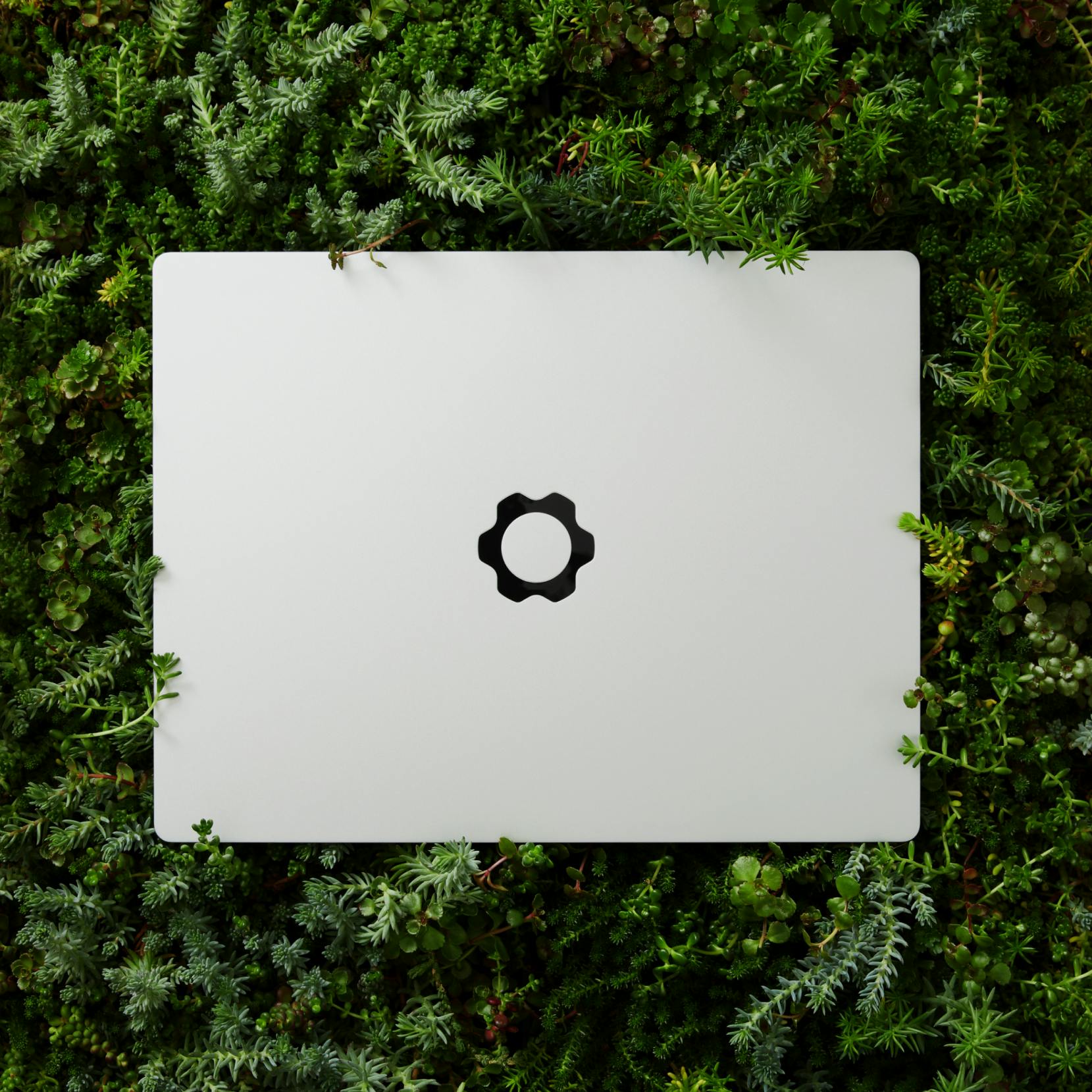 A Framework laptop on a lawn