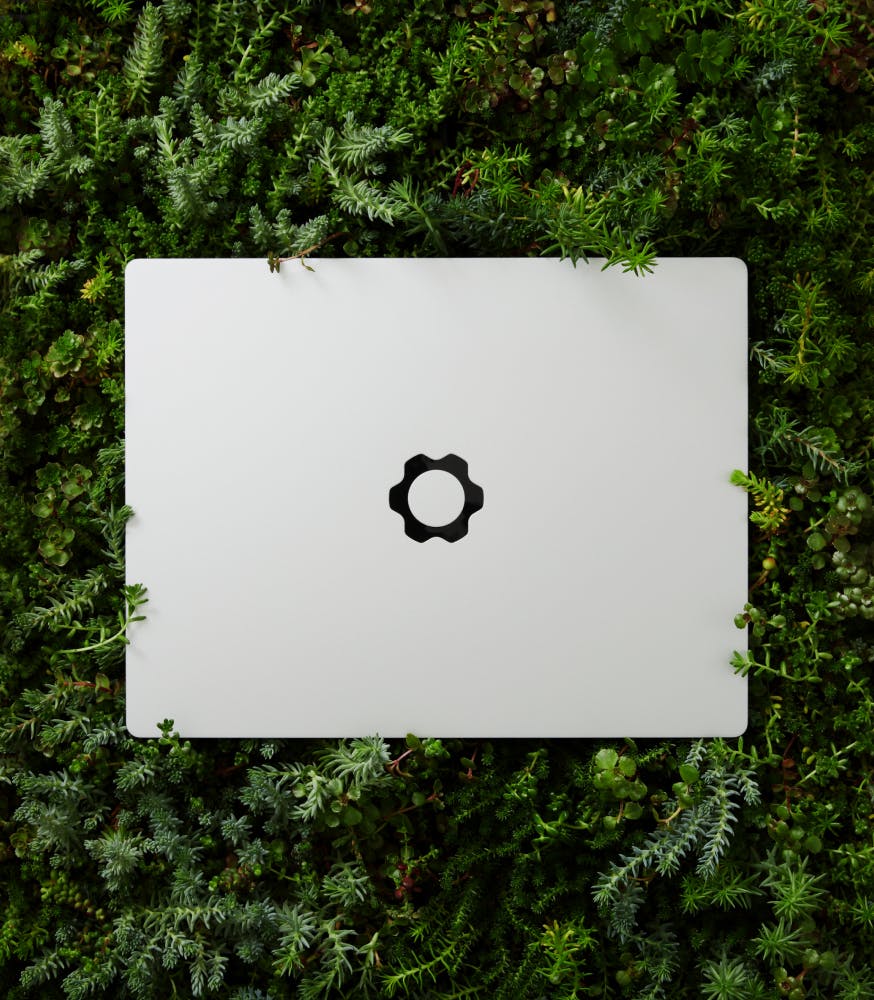 Framework Laptop on a grass field