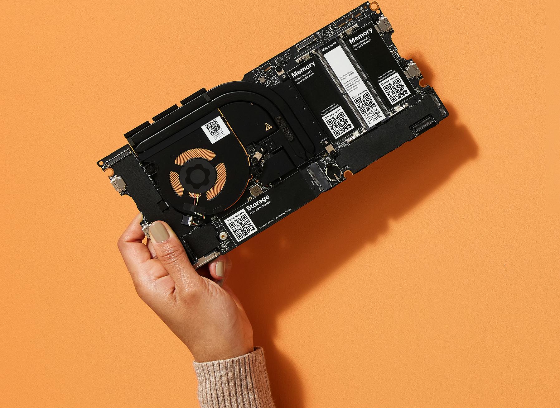 Holding a Framework Mainboard