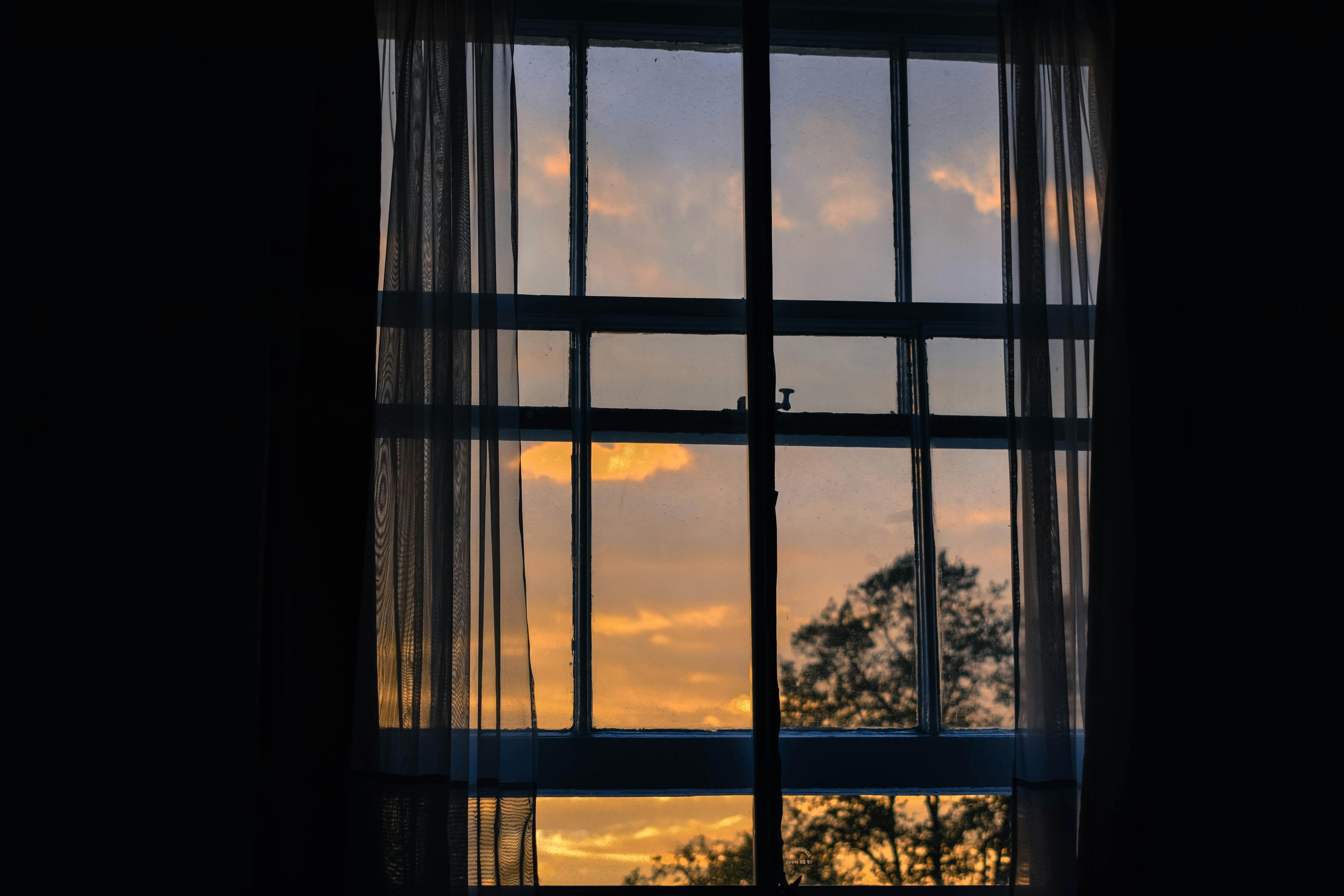 What is your 'Window of Tolerance'?