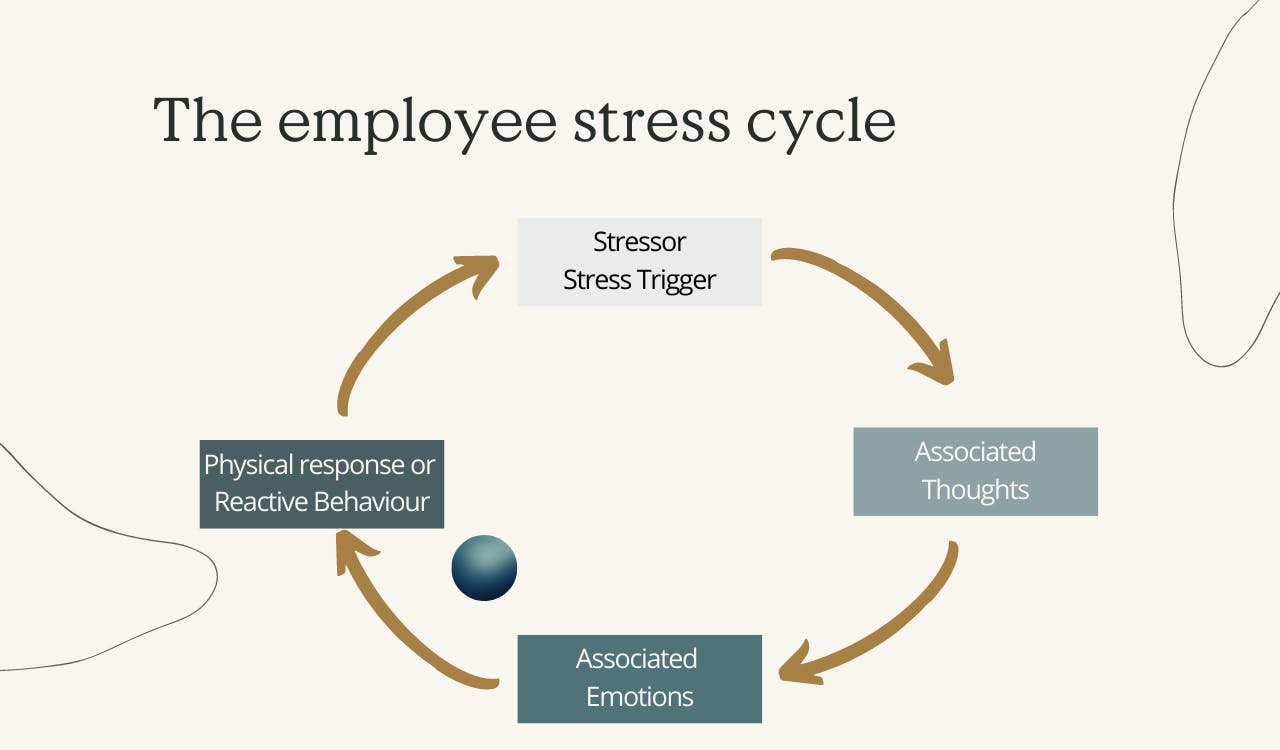 the employee stress cycle