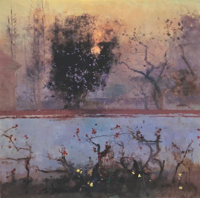 Japonica Prunus, 2007, Image and paper size: 47.5 x 47.5 cm