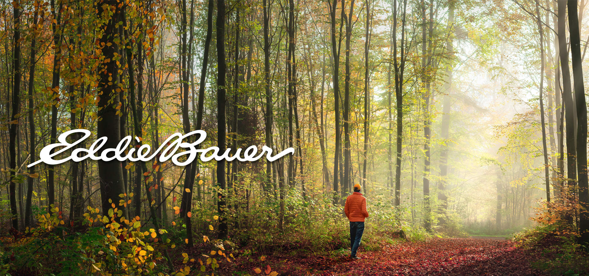 Eddie Bauer Script Logo Hero Image Man Walking in the Woods