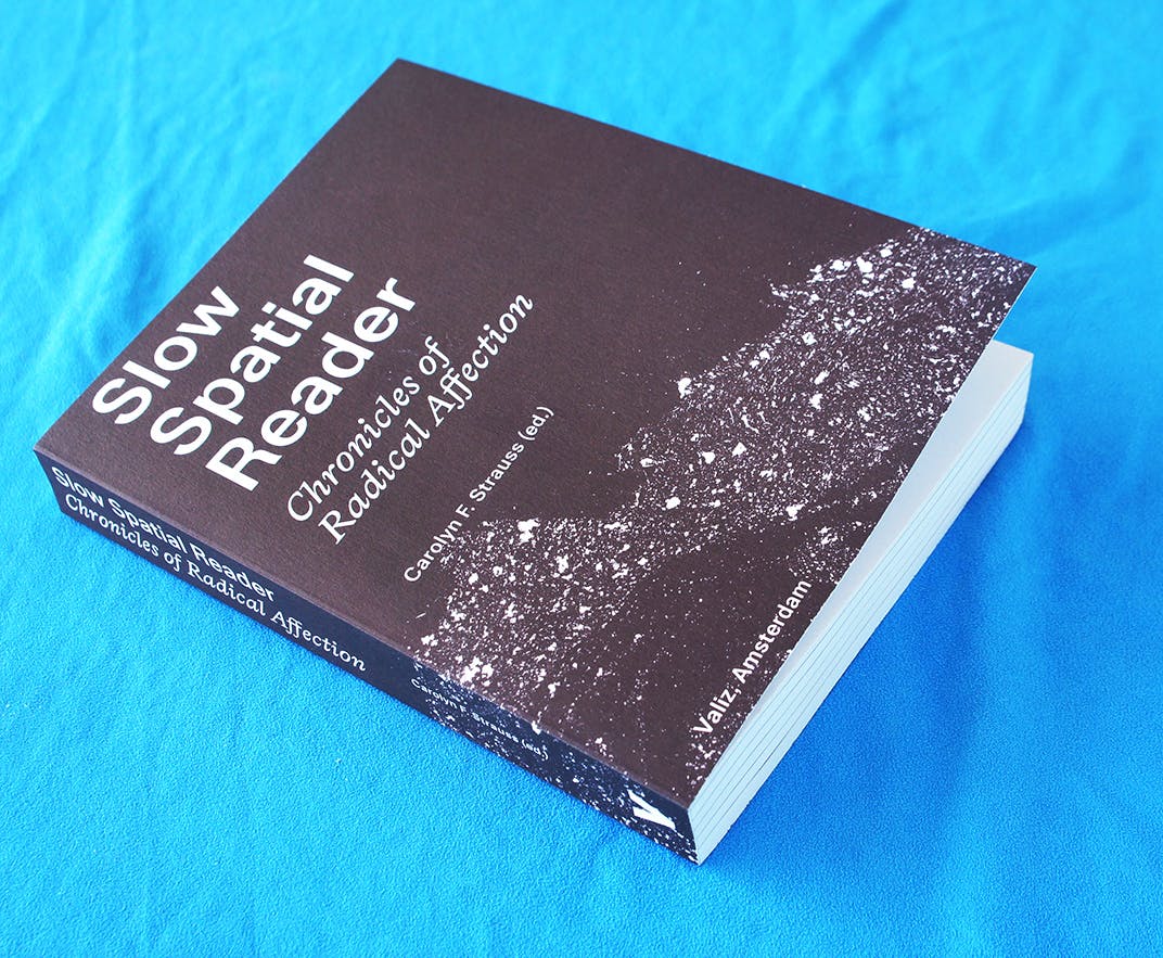 ed.: Carolyn F. Strauss