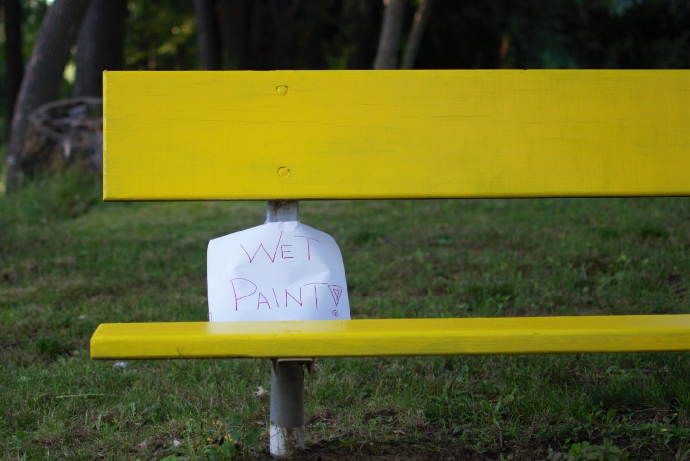 hand-written note that says "wet paint" on a yellow bench in a grassy field