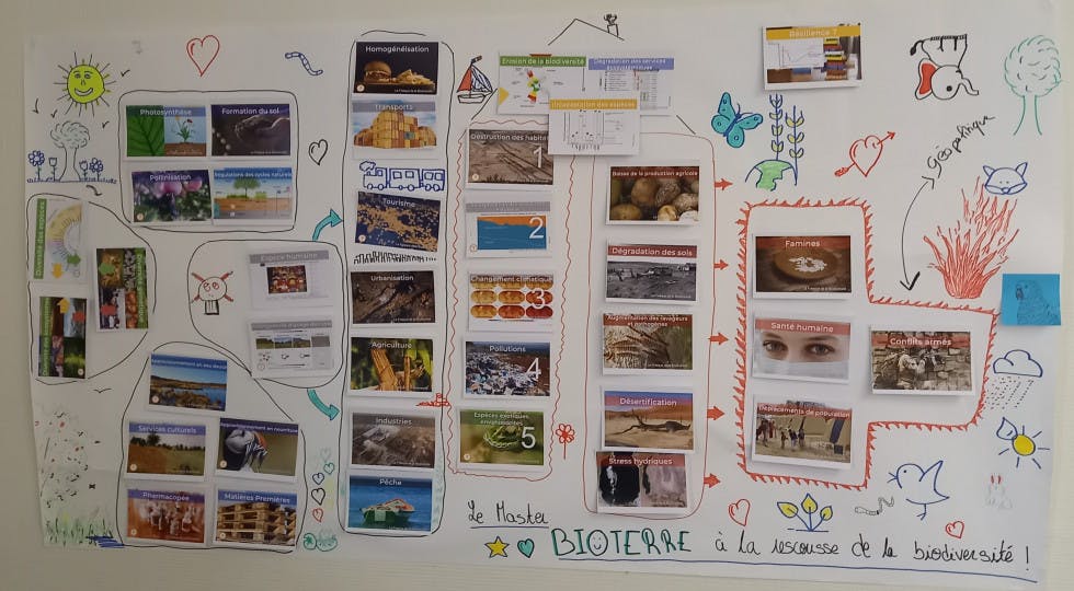 Fresque biodiversité