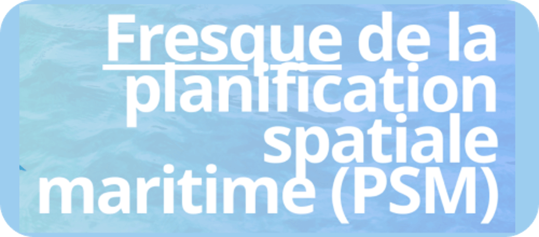 La fresque de la planification spatiale maritime