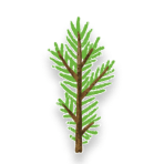 Community Reforestation Program (CRP) icon