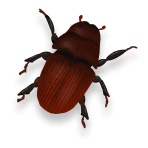Mountain Pine Beetle Program (MPBP) icon