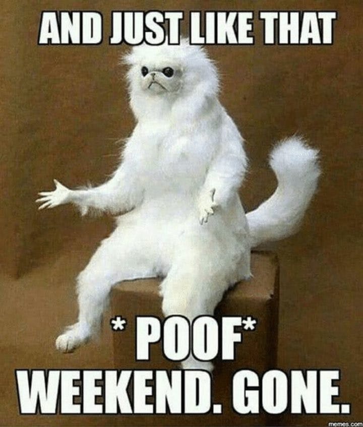 24 Funny Weekend Memes: Celebrate The End of the Week! 24 Funny Weekend Memes: Celebrate The End of the Week!