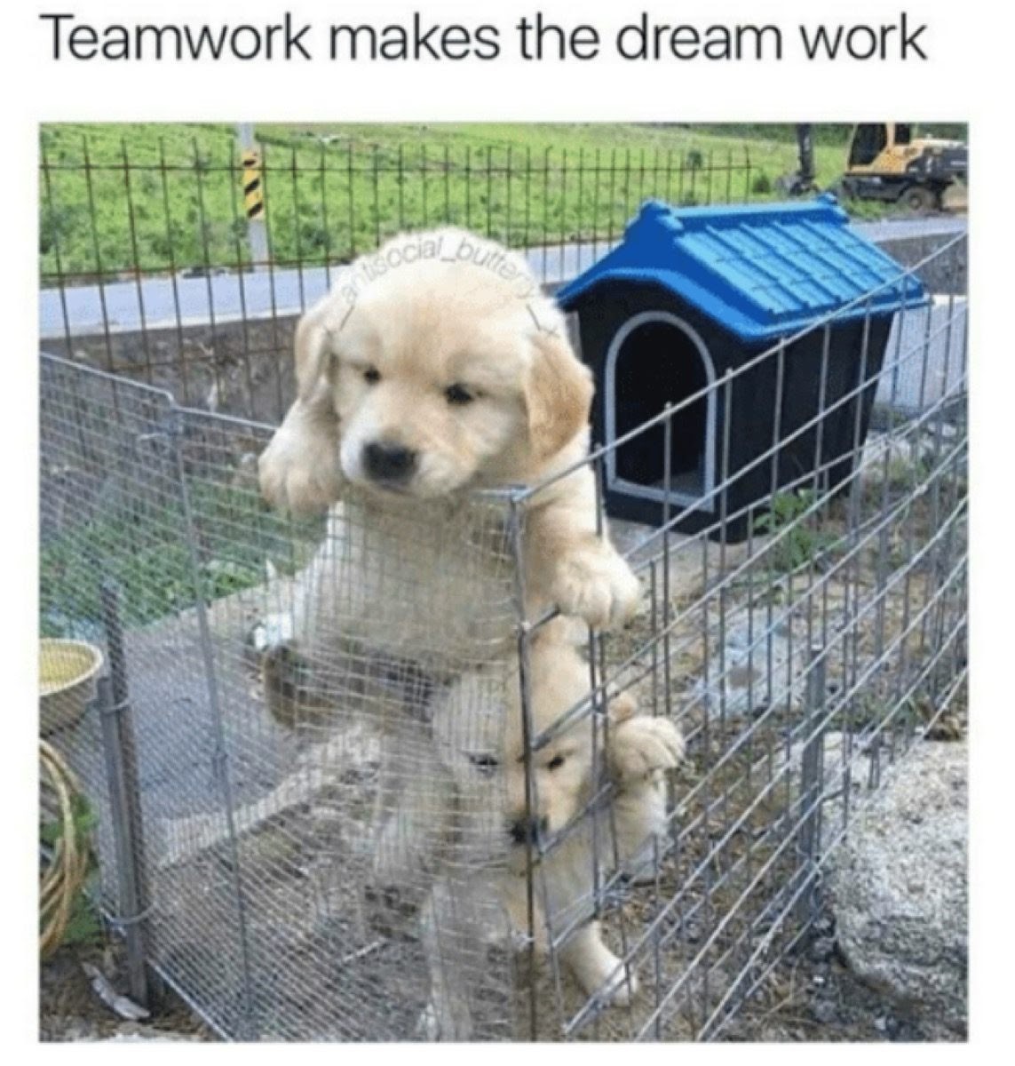 Teamwork Memes: 25 Funny Images To Inspire Your Teams, 46% OFF