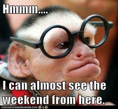 weekend almost here funny