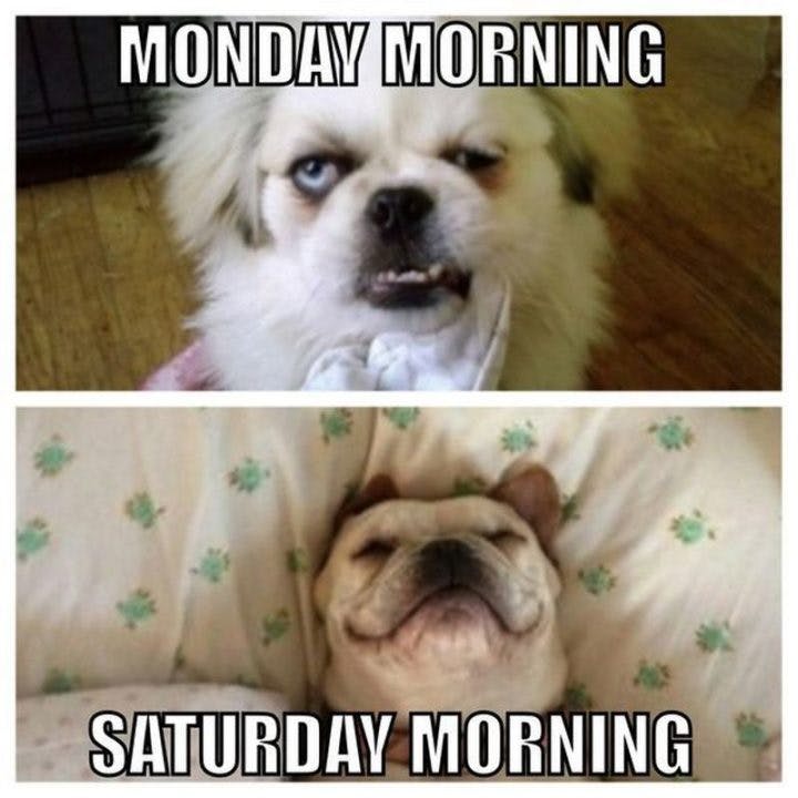 24 Funny Weekend Memes: Celebrate The End of the Week! 24 Funny Weekend Memes: Celebrate The End of the Week!