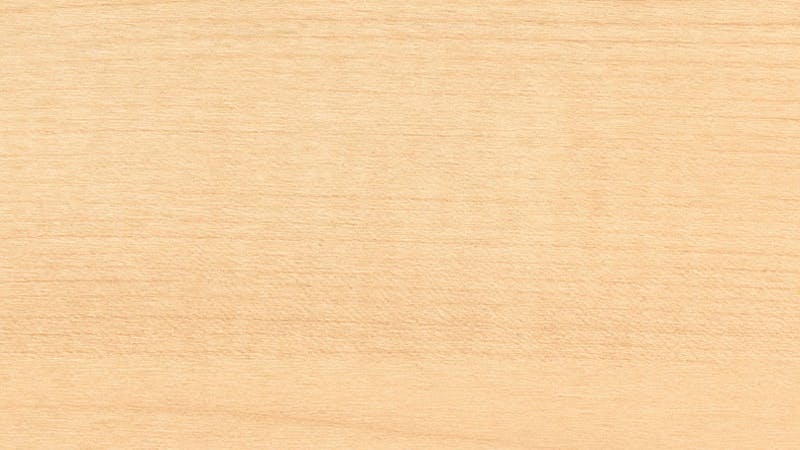 Materialien-Holz-Holzgruppe 1-Holzdekor-Ahorn