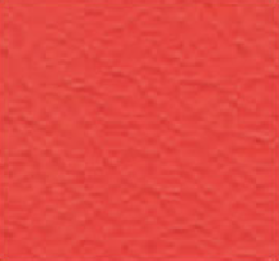 Groupe de revêtement en cuir 26-cuir-rouge