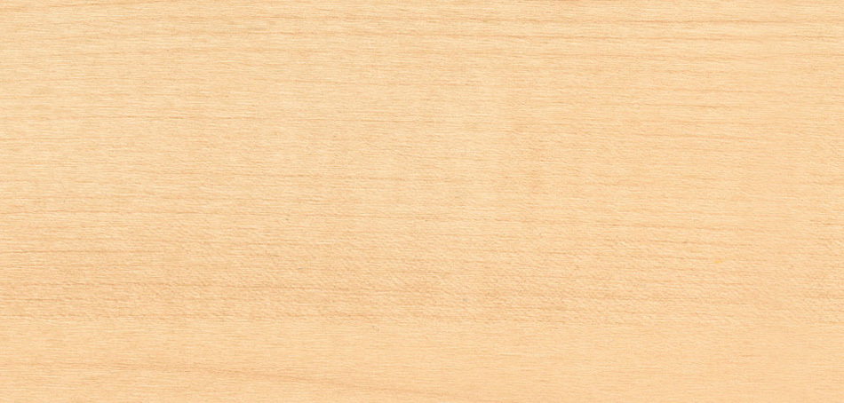 Materialien-Holz-Holzgruppe 1-Holzdekor-Ahorn