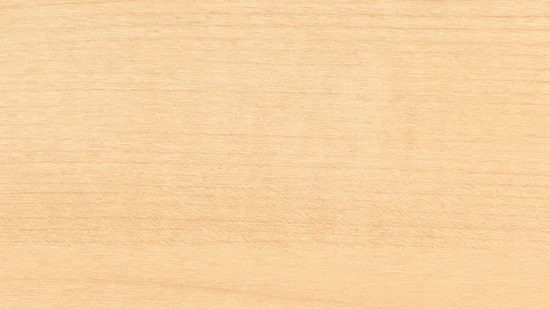 Materialien-Holz-Holzgruppe 1-Holzdekor-Ahorn