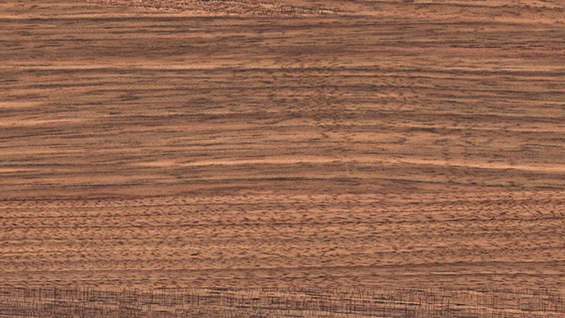 Matériaux-Bois-Groupe 2-Surface de table-Funier-Amerik. Noyer