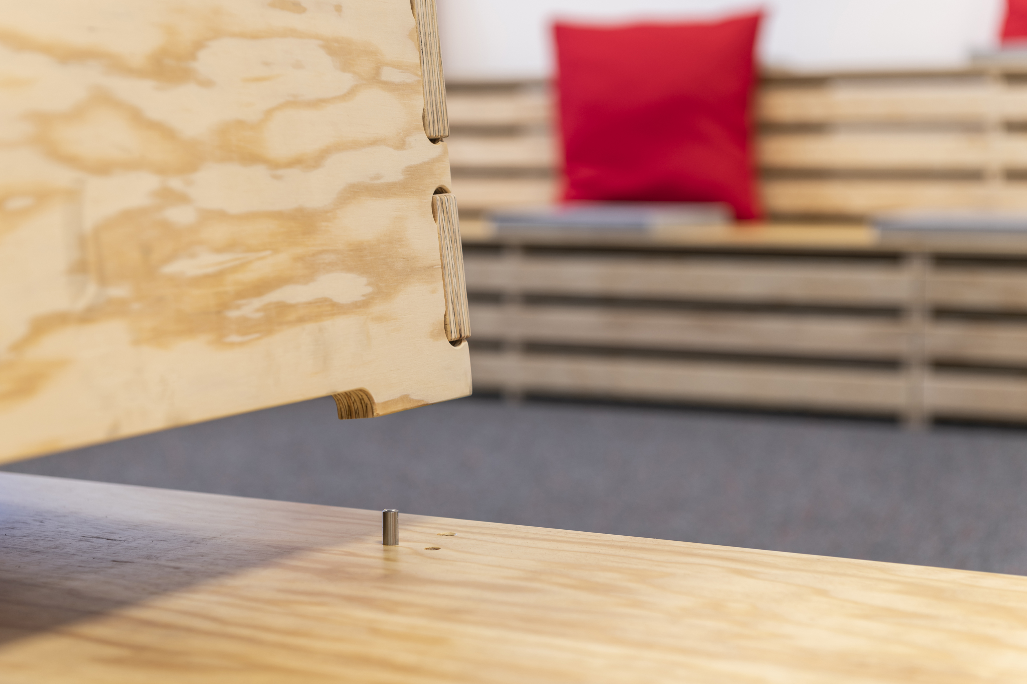 References-Picture gallery-FLEX-Elektrowerkzeuge GmbH-arena