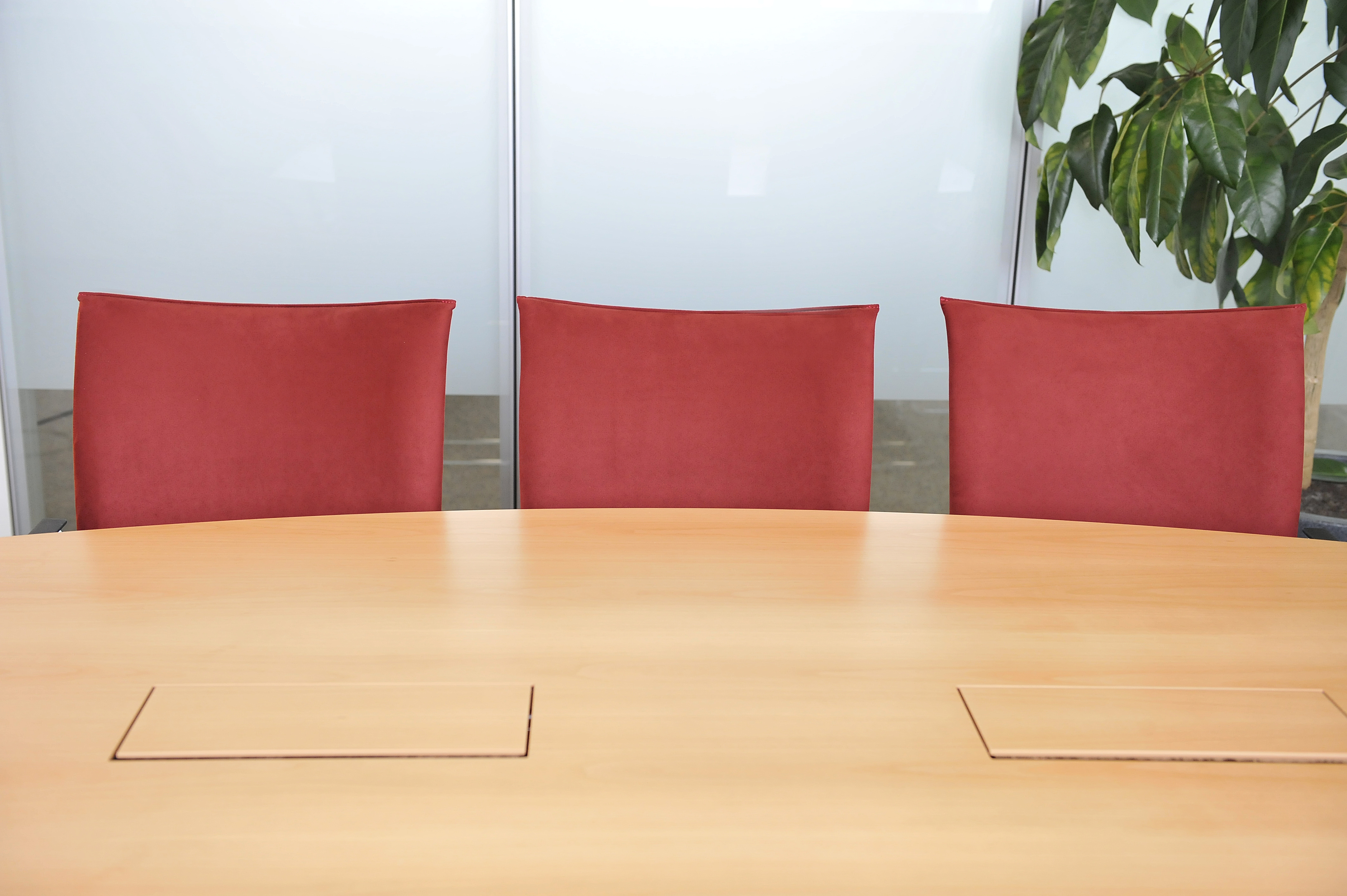 References-Picture gallery- Rentschler Biotechnologie GmbH Laupheim- pharao chairs- fallon conference table